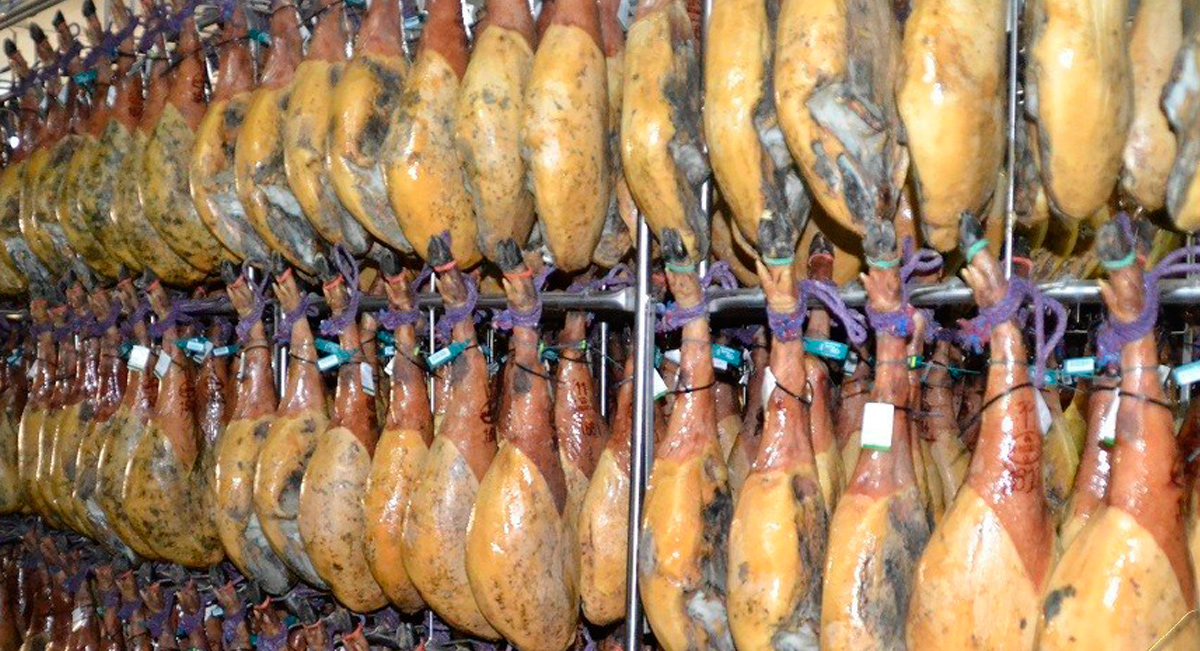 Jamon De Bellota 100% Iberico GUILLEN  M/K.  ⁓8,5kgr