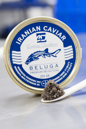 Χαβιάρι Μαύρο Beluga Iran CASPIAN TRADITION 30γρ