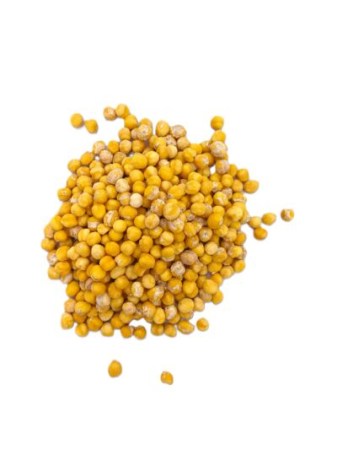 20250912_085623-400x533