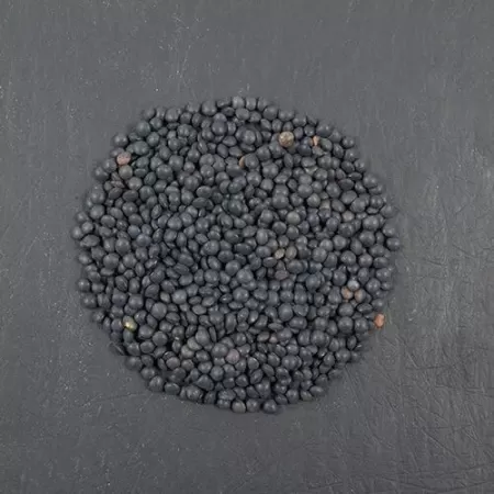 SB_0303_mavri_faki_beluga_open_e6bfe12f96