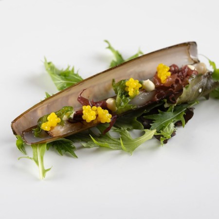 WhatsApp-Image-2024-12-28-at-00.07.16-6-e1748418220285