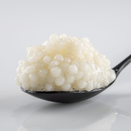 cataliment-coco-e1748418658551