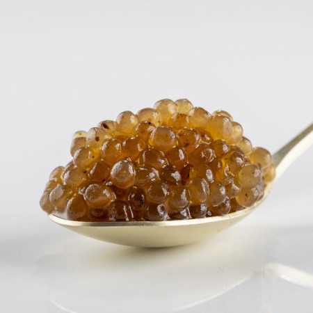 cataliment-trufa-e1748418084397